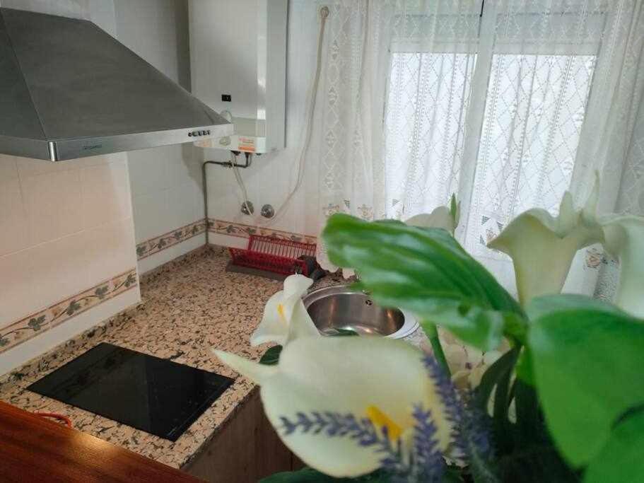 شقة Casita De La Infanta By Sanlucar Housing Sanlúcar de Barrameda المظهر الخارجي الصورة
